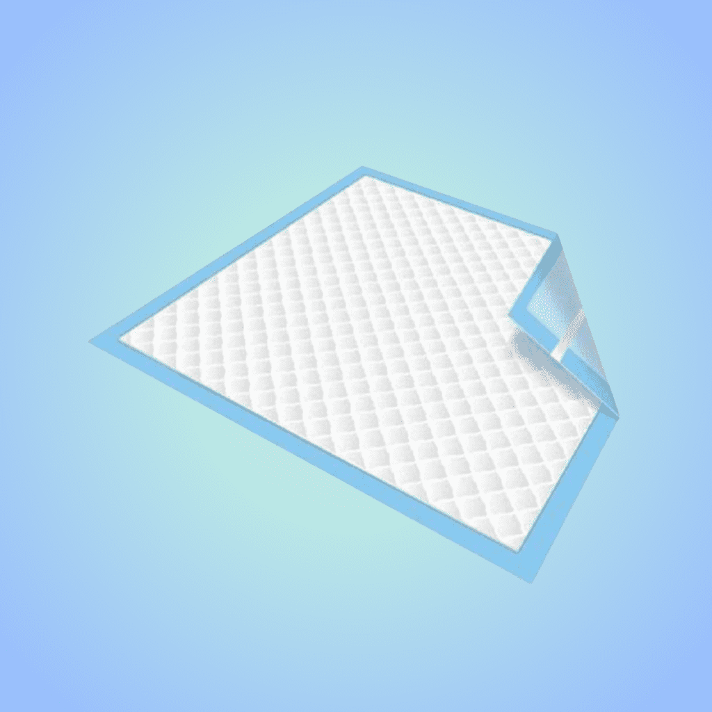 Dignity Sheet